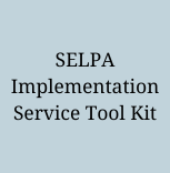 SELAP Implementation Button.png